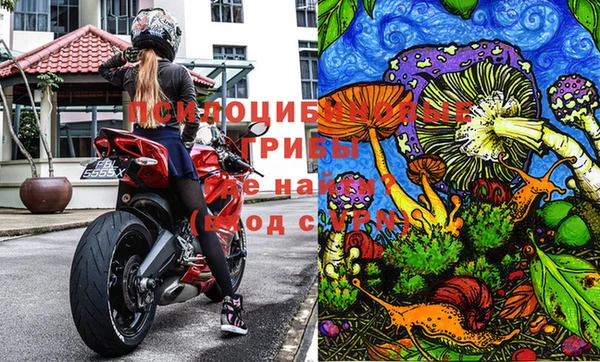 2c-b Куйбышев