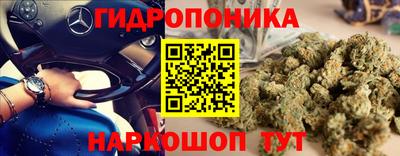 мдпв Гагарин