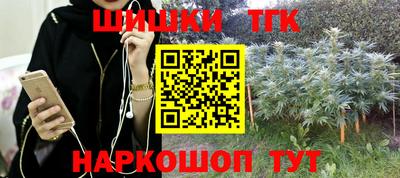 мдпв Гагарин
