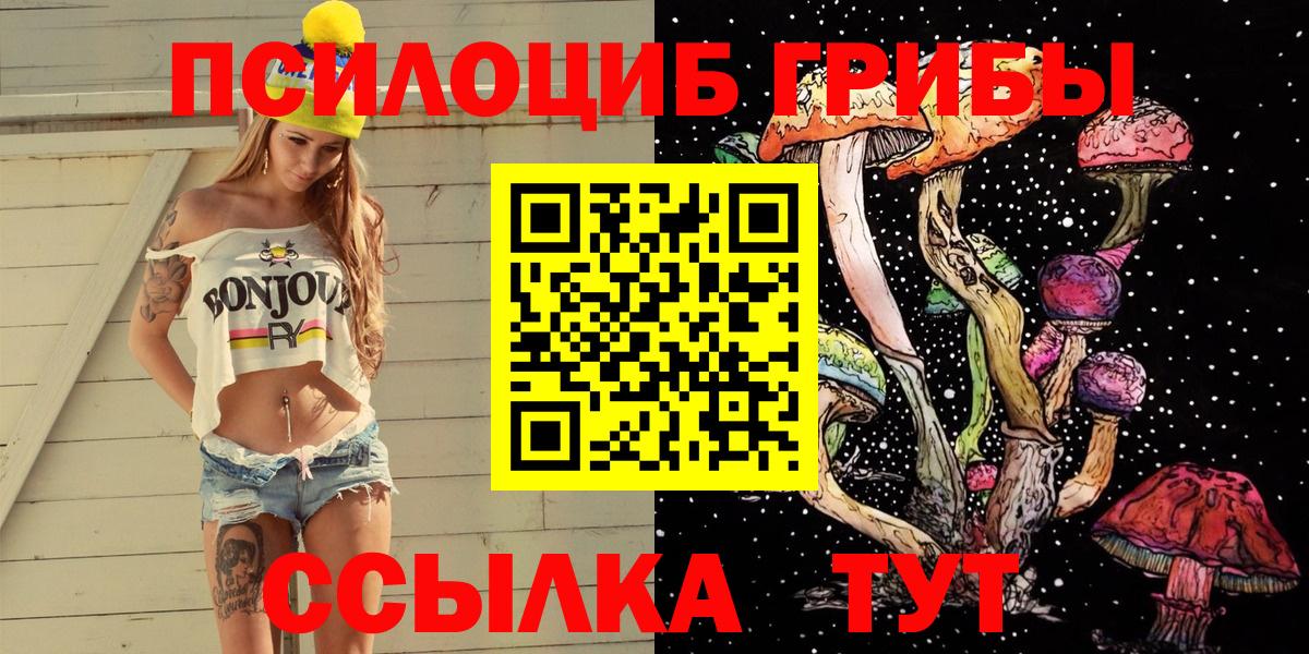 Псилоцибиновые грибы Cubensis Лесной