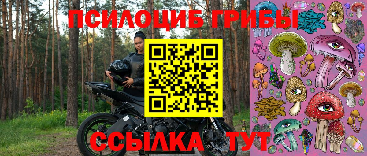 Лесной  Псилоцибиновые грибы прущие грибы  Вход с VPN 