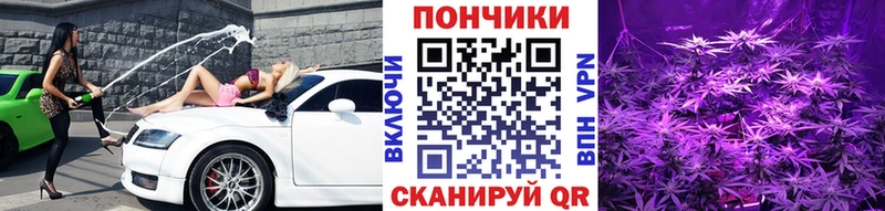 Марихуана план  гидра рабочий сайт  Лесной 